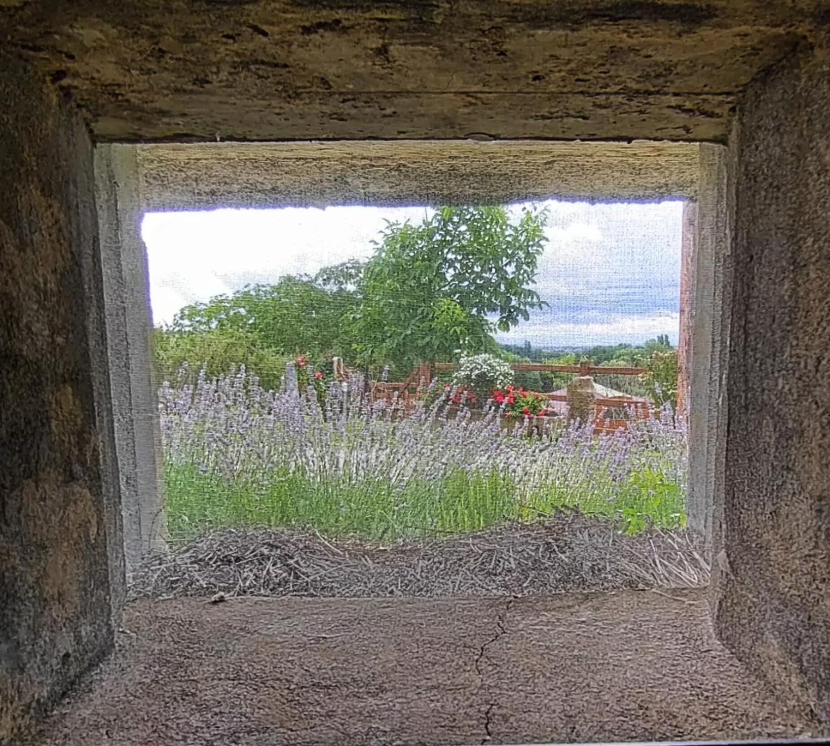 Au Bunker 67 Hotel Rott Kültér fotó